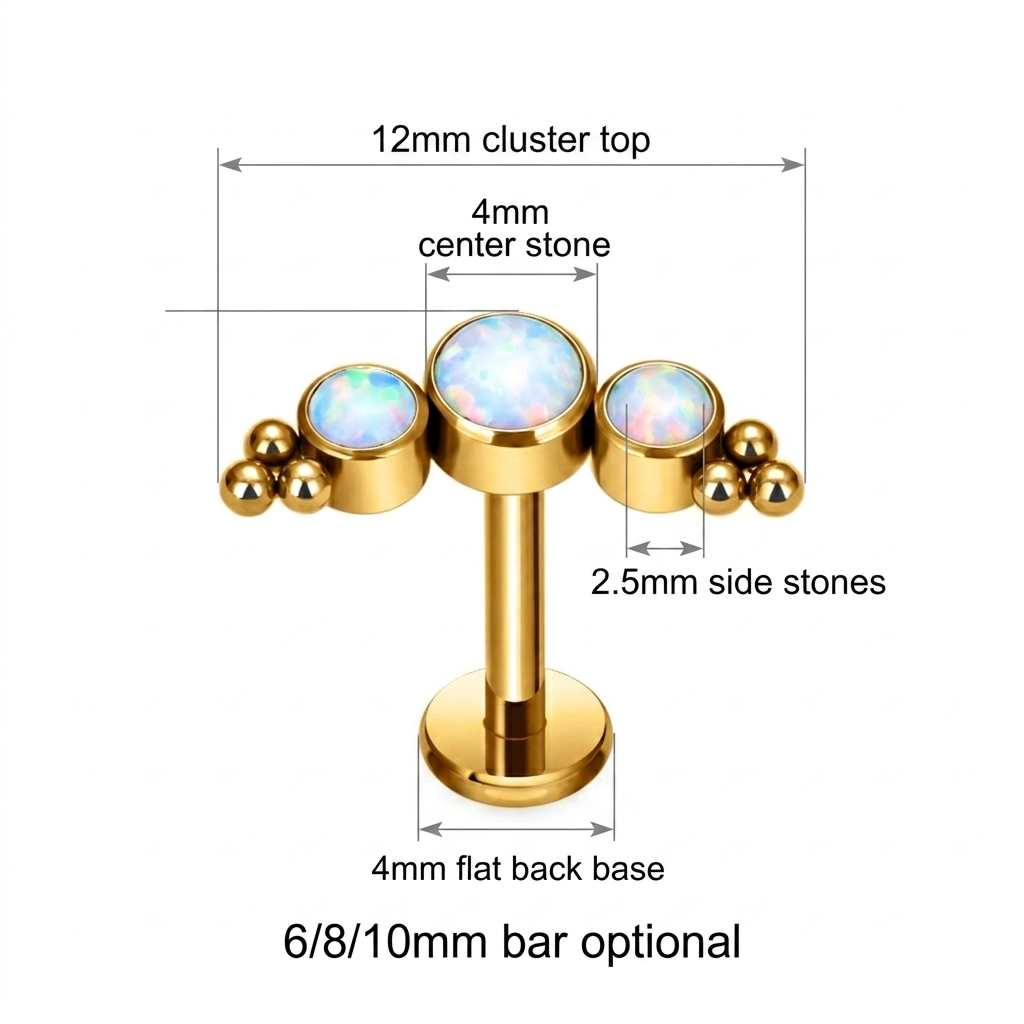 G23 티타늄 라브렛 클러스터 젬 플랫 백 립 이어링  - Body Jewelry In Bulk 리뷰 및 가격